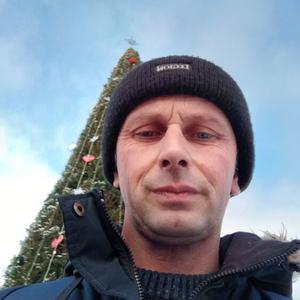 Дмитрий, 41 год, Могилев
