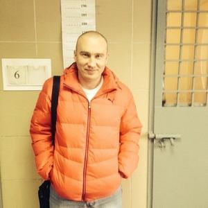 Серж, 43 года, Барнаул