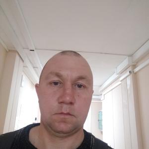 Aleksei, 42 года, Белгород