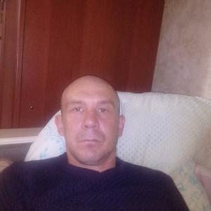 Игорь, 42 года, Менделеевск