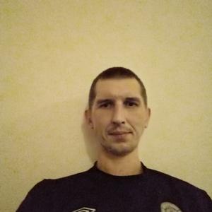 Александр Смирнов, 42 года, Суздаль