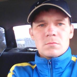 Сергей, 36 лет, Вологда