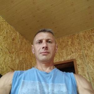 Сергей, 46 лет, Владимир