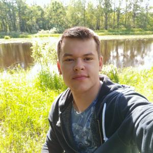 Парни в Собинке: Алексей, 31 - ищет девушку из Собинки