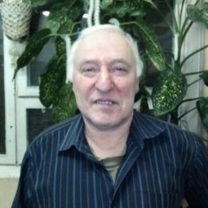 Vladimir Smelkov, 75 лет, Санкт-Петербург