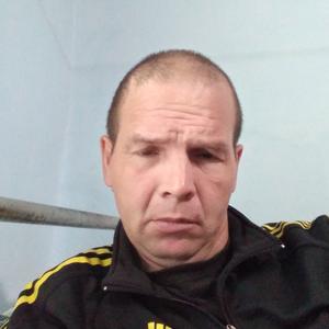 Александр, 44 года, Белогорск