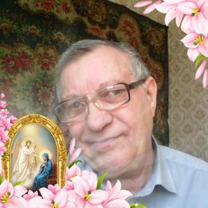 Александр, 76 лет, Ставрополь