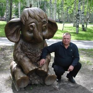 Юрий Гоменюк, 66 лет, Ялуторовск