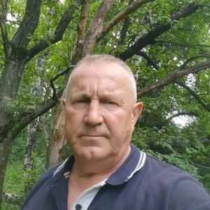 Сергей Мельников, 56 лет, Елец