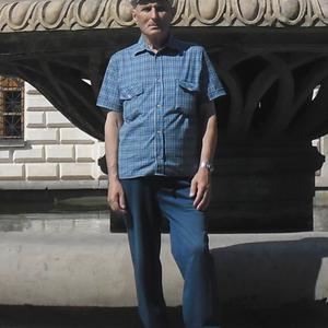 Олег, 64 года, Казань