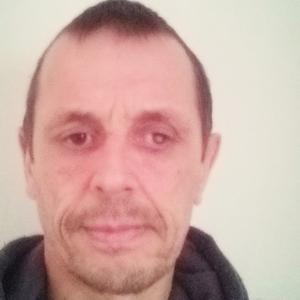 Олег, 43 года, Чистополь
