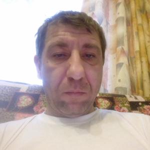 Владимир, 45 лет, Раменское