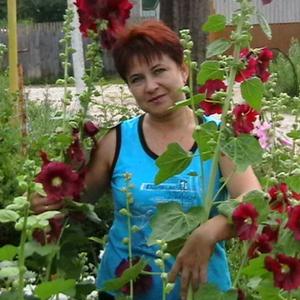 Инесса, 55 лет, Вязники