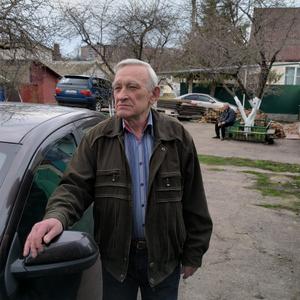 Владимир, 75 лет, Курск