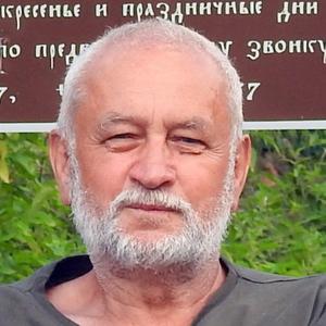 Йошкин Жилец, 72 года, Москва