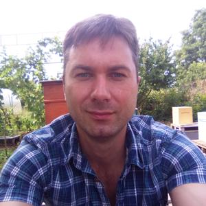 Владимир, 42 года, Павловская