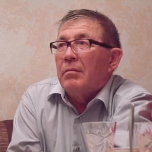Marat Khamzin, 73 года, Магнитогорск