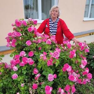 Лидия, 63 года, Богородицк