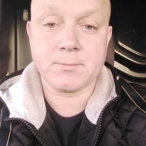 Денис, 38 лет, Минск