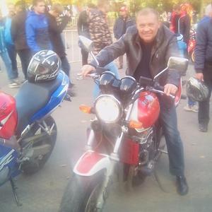 Кирилл Стародубцев, 53 года, Тула