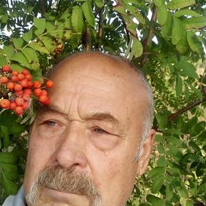 Николай, 77 лет, Вятские Поляны