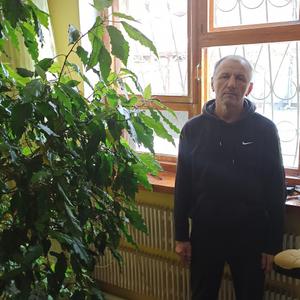 Виктор, 65 лет, Волгоград