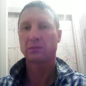 Владимир, 43 года, Пермь