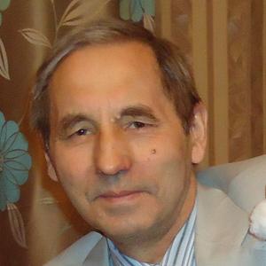 Борис, 74 года, Санкт-Петербург