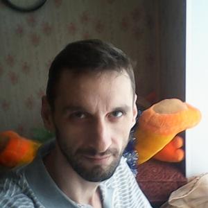 Парни в Добрянке (Пермский край): Сергей, 43 - ищет девушку из Добрянки (Пермский край)