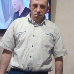 Саша Кокарев, 46 лет, Кострома