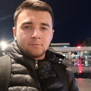 Тимур, 26 лет, Липецк
