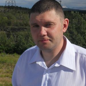Андрей Никифоров, 42 года, Мончегорск
