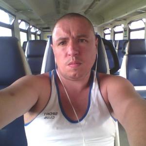 Алексей, 40 лет, Электросталь