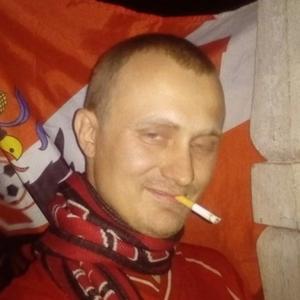 Парни в Зарайске: Андрей, 34 - ищет девушку из Зарайска