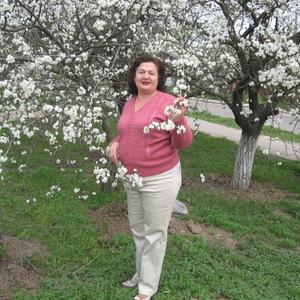 Людмила, 73 года, Санкт-Петербург