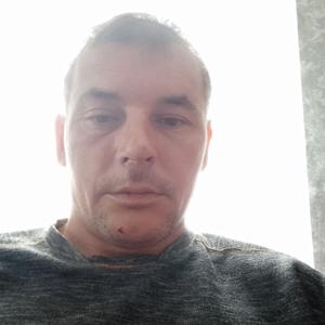 Николай, 42 года, Михайловск