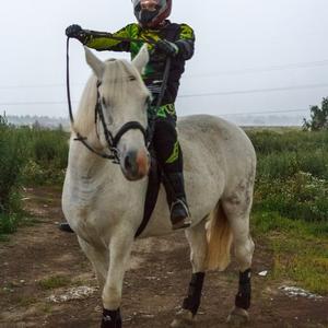 Ренат, 33 года, Подольск