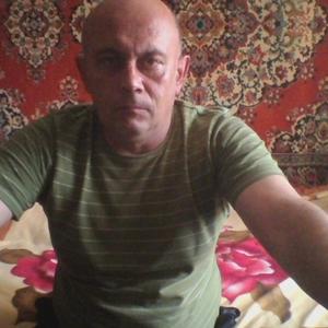 Андрей, 60 лет, Луга