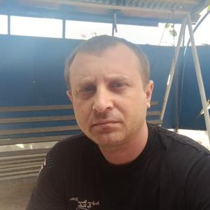 Андрей, 41 год, Армавир