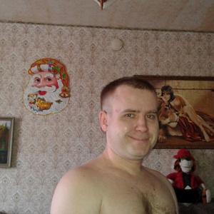 Александр, 46 лет, Новомосковск