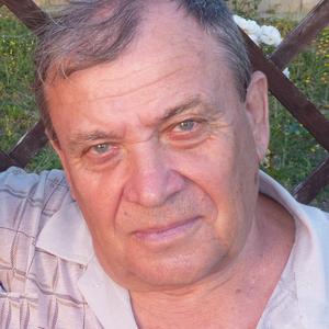 Иван, 80 лет, Тула