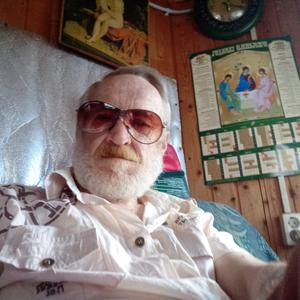 Виктор, 66 лет, Ярославль