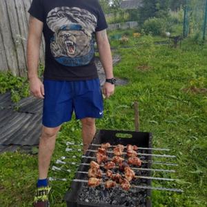 Серега, 42 года, Нижний Новгород