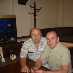 Парни в Должанская: Владимир Просеков, 69 - ищет девушку из Должанская