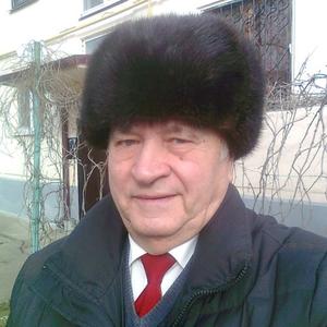 Иван Знайко, 85 лет, Полтавская