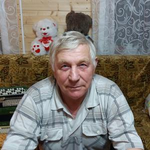 Виктор, 73 года, Санкт-Петербург
