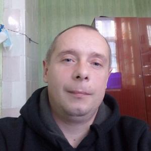 Денис, 39 лет, Щелково