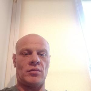 Евгений, 43 года, Селятино