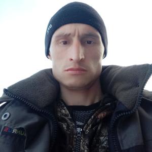 Сергей Загребин, 37 лет, Москва