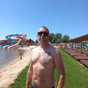 Борис Геннадьевич Комаров, 35 лет, Волгоград